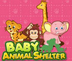 Baby Animal Shelter