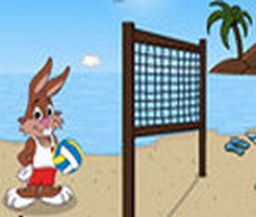 Play Beach Volleyball