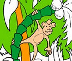 Jungle Coloring Book