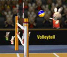 BunnyLimpics Volleyball