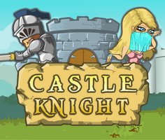 Castle Knight