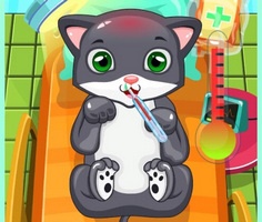 Play Cat Doctor