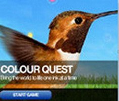 Colour Quest