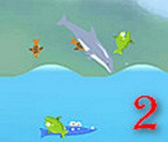 Dolphin Olympics 2