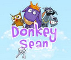 Donkey Sean