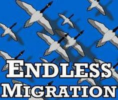 Play Endless Migration