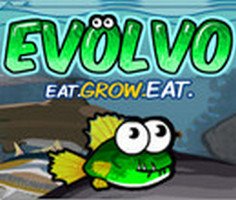 Play Evolvo