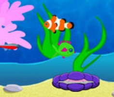 Play Fish Fun