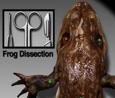 Play Frog Dissection