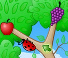 Fruity Bugs 2011