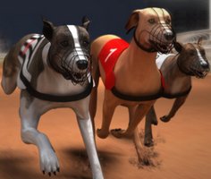 Play Greyhound Racing