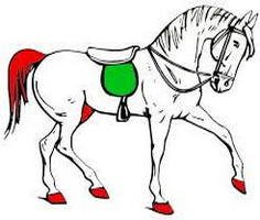 Play Horse Coloring Pages for Kids
