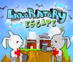 Play Laboratory Escape