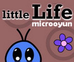 Play Little Life