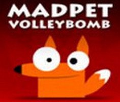 Play Madpet Volleybomb