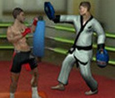 Play MMA Training Ground