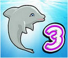 My Dolphin Show 3