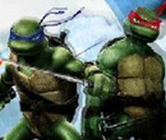 Play Ninja Turtle The Return of King