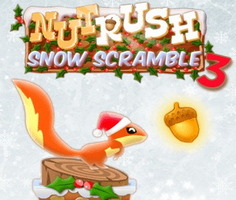 Play Nut Rush 3