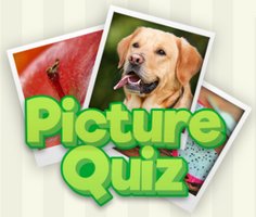 Play Picture Quiz