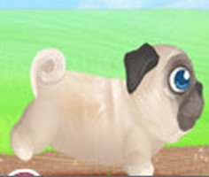 Pug the Dog