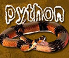 Python