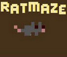 Play Rat Maze