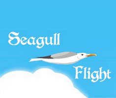 Play Seagull Flight Simulator