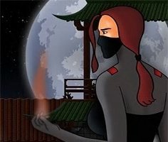 Play Shadow of the Ninja