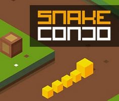 Snake Condo