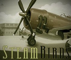 Play SteamBirds