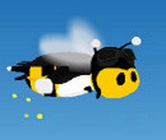 Symphony in Bee