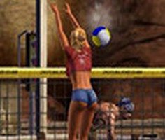 Volleyball