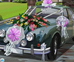 Wedding Car Decoration