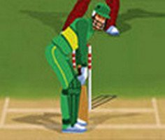 Play World Cricket